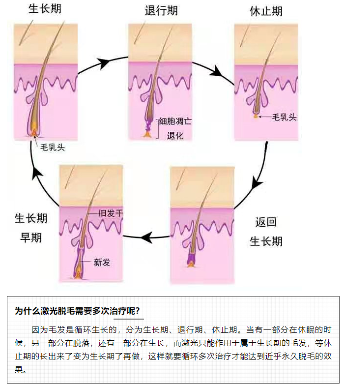 微信截圖_20220325104121.png